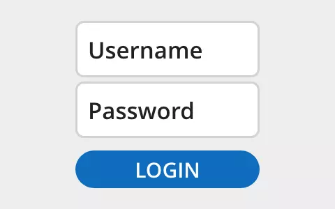 Login Interface